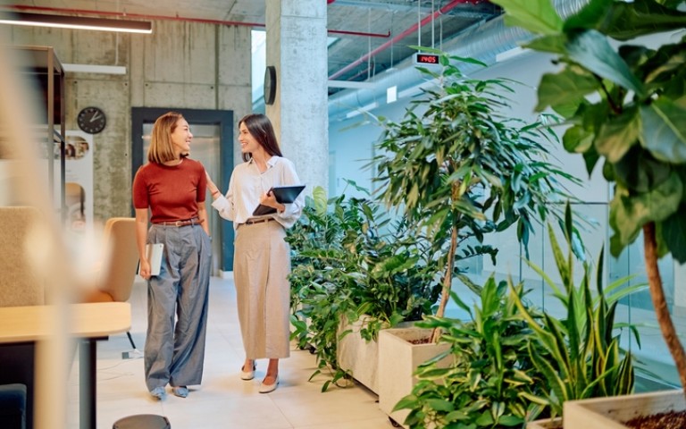 Werkfit traject UWV: effectieve re-integratie en begeleiding